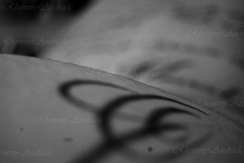 Fotografia de Rhommy - Galeria Fotografica: letras de carne y Rquiem - Foto: 