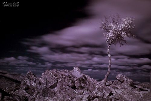 Fotografia de Rubn Lpez - Galeria Fotografica: Paisaje de La Mancha... - Foto: Desde el Mirador de Castilnegro (IR)