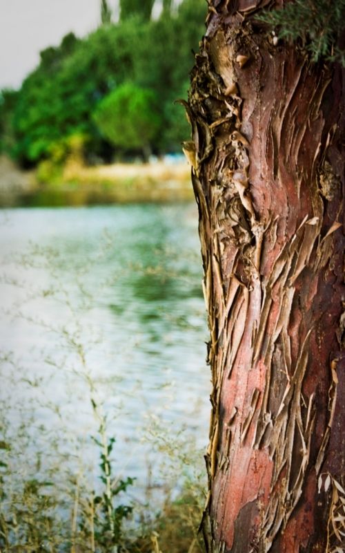 Fotografia de Rubn Lpez - Galeria Fotografica: Paisaje de La Mancha... - Foto: Peralbillo