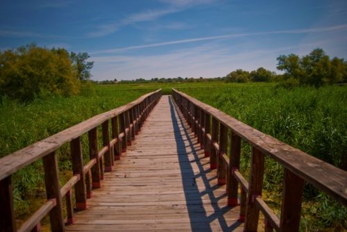 Fotografia de Rubn Lpez - Galeria Fotografica: Paisaje de La Mancha... - Foto: Tablas de Daimiel