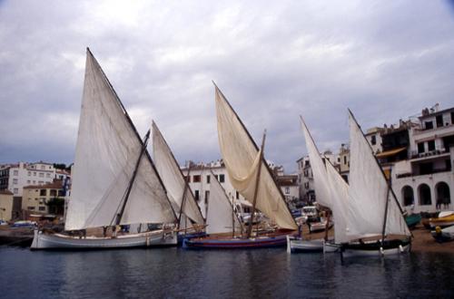 Fotografia de Sin Nombre - Galeria Fotografica: Barques a Calella de Palafrugell - Foto: Calma total al Port Bo