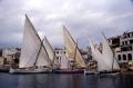 Fotos de Sin Nombre -  Foto: Barques a Calella de Palafrugell - Calma total al Port Bo