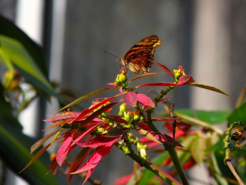 Fotografia de Rau Arias - Galeria Fotografica: Naturaleza - Foto: 