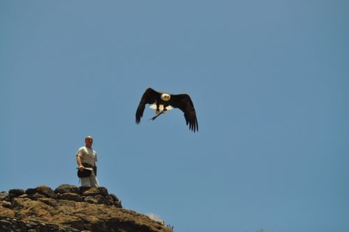 Fotografia de ingenioso - Galeria Fotografica: naturaleza diversa - Foto: Parmitos Park