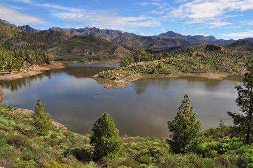 Fotografia de ingenioso - Galeria Fotografica: FOTOS VARIADAS - Foto: Presa de las Nias (gran canaria)