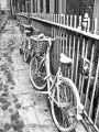 Foto de  Jose Sancho Photography - Galería: Portfolio - Fotografía: Las bicicletas son para el verano