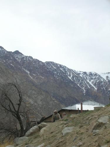 Fotografia de Sin Nombre - Galeria Fotografica: Valle del elqui - Foto: majestad los andes