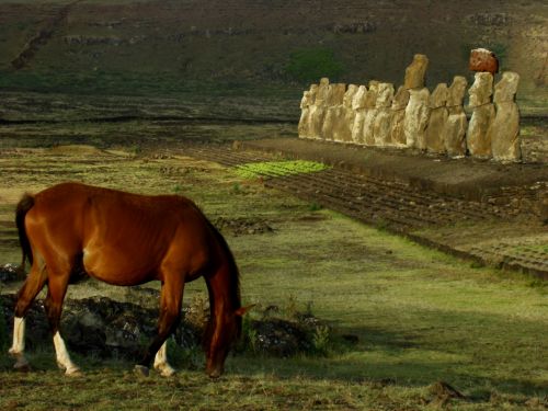 Fotografia de Ricardo Jara - Galeria Fotografica: Rapa Nui - Foto: 