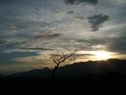 Fotografia de Hector Augusto Cuestas - Galeria Fotografica: Atardeceres - Foto: ocaso tras el rbol solitario