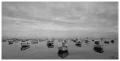 Foto de  julianceronphotography - Galería: De todo un poco - Fotografía: boats sunrise