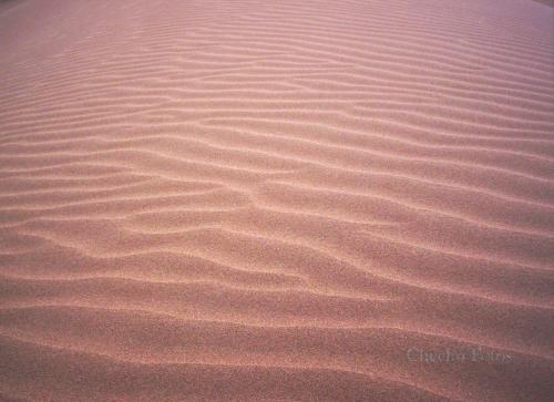 Fotografia de Sergio - Galeria Fotografica: Desierto Lavallino - Mendoza - Argentina - Foto: Arena