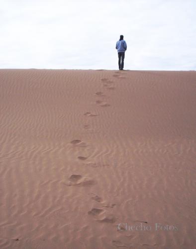 Fotografia de Sergio - Galeria Fotografica: Desierto Lavallino - Mendoza - Argentina - Foto: Solo