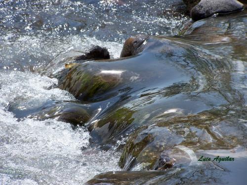 Fotografia de Sin Nombre - Galeria Fotografica: Paisajes y Naturaleza - Foto: Agua