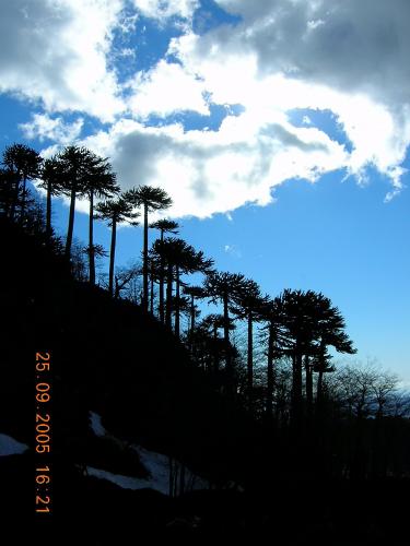 Fotografia de favu - Galeria Fotografica: rincones de mi tierra... - Foto: encantos de la tierra