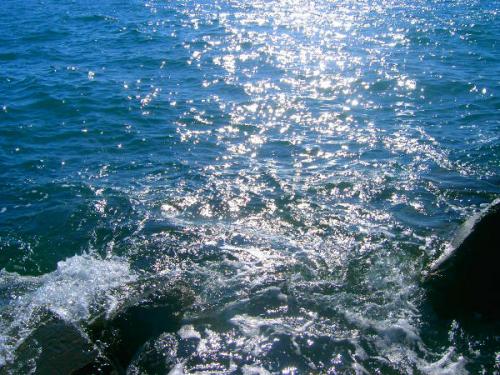 Fotografia de Cerezas - Galeria Fotografica: Ventanas al mar - Foto: Le brillant de la mer