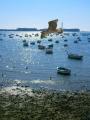 Foto de  Cerezas - Galería: Ventanas al mar - Fotografía: Sur la mer
