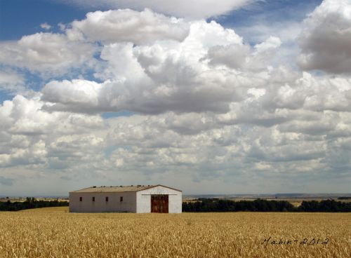 Fotografia de machin - Galeria Fotografica: Palencia - Foto: Osornillo. Palencia