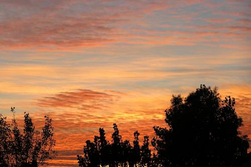 Fotografia de Juanjo - Galeria Fotografica: Delta del Ebro - Foto: Atardecer en Riomar