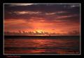 Foto de  Agustin Fernandez - Galería: Zanzibar Brushstrokes - Fotografía: Zanzibar Daybreak