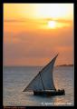 Foto de  Agustin Fernandez - Galería: Zanzibar Brushstrokes - Fotografía: Dhow sailing under sunset