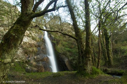 Fotografia de JUANJO ARROJO - Galeria Fotografica: toques de asturias - Foto: Cascada La Mxica-VILLAYON