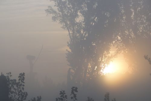 Fotografia de quim Estadella - Galeria Fotografica: que bello es el otoo - Foto: Niebla