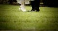 Fotos de pixelstudi reportatges -  Foto: Fotografia artistica de bodas - Artistic Wedding