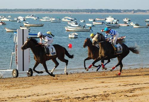 Fotografia de Sin Nombre - Galeria Fotografica: Carreras de Caballos - Foto: Caballos por la Arena