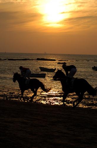 Fotografia de Sin Nombre - Galeria Fotografica: Carreras de Caballos - Foto: Atardecer en la playa