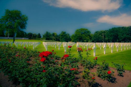 Fotografia de miquel971 - Galeria Fotografica: cementerio americano en francia - Foto: 