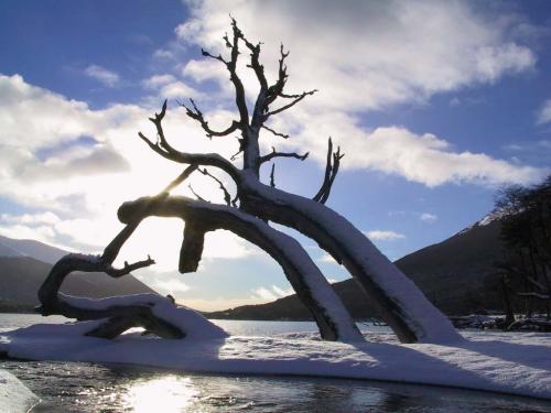 Fotografia de Sin Nombre - Galeria Fotografica: PATAGONIA ARGENTINA - Foto: Lago Fagnano