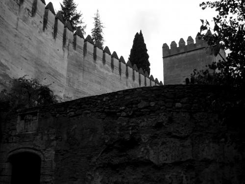 Fotografia de Barnesius - Galeria Fotografica: Inexpugnable Alhambra - Foto: 