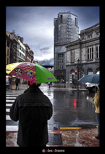 Fotografia de alexalvarez - Galeria Fotografica: Viaje a los sueos polares - Foto: raining day