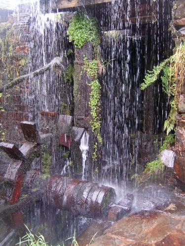 Fotografia de Sin Nombre - Galeria Fotografica: Buscando agua - Foto: 