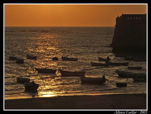 Fotografia de Sin Nombre - Galeria Fotografica: Segunda Galeria - Foto: Reflejos dorados