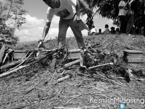 Fotografia de Kesmish Midaskng - Galeria Fotografica: Mix - Foto: 