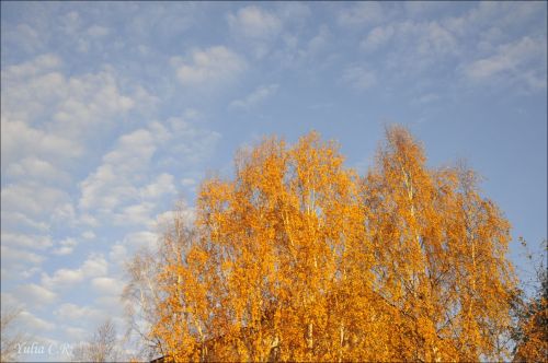 Fotografia de Yulia - Galeria Fotografica: Naturaleza - Foto: cielo azul