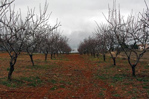 Fotografia de Fran Soriano - Galeria Fotografica: Naturaleza - Foto: 