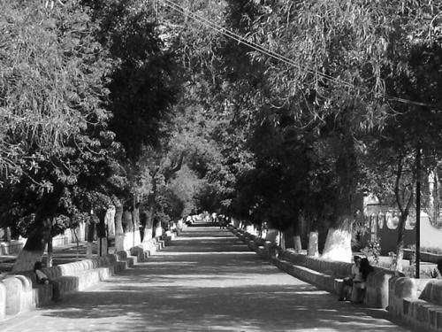 Fotografia de isan - Galeria Fotografica: Morelia Michoacan, Mexico - Foto: Calzada de San Miguel