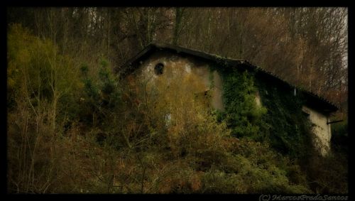 Fotografia de Marcos prado santos - Galeria Fotografica: Fotos de una serie sobre zonas, y arquitectura abandonadas en asturias-El entrego - Foto: 