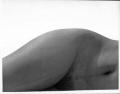 Foto de  Ruben Sucre - Galería: desnuda - Fotografía: 