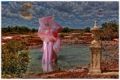 Foto de  Abimagen64 - Galería: Una almohada surrealista - Fotografía: Nacimiento de Venus XY.