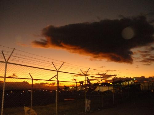 Fotografías menos votadas » Autor: FBi.06 - Galería: Naturaleza viva - Fotografía: aeropuerto							