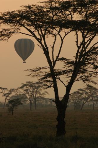 Fotos menos valoradas » Foto de rodas - Galería: AFRICA - Fotografía: DESPEGANDO EN GLOB