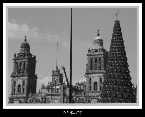 Fotografías menos votadas » Autor: Kerub - Galería: Fotografa en blanco y negro - Fotografía: Zcalo capitalino	