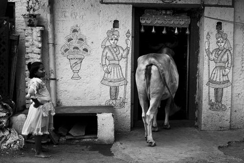 Fotografías menos votadas » Autor: Nicolas Riente Fotgrafo Documental - Galería: Retratos de la India - Fotografía: India 2012