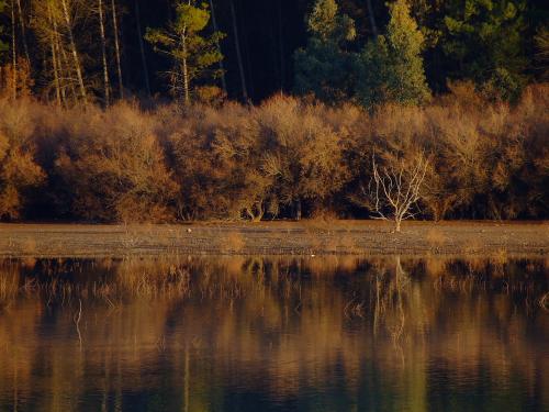 Fotografías menos votadas » Autor: Rafael - Galería: Cubillas - Fotografía: 