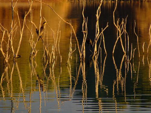 Fotografías menos votadas » Autor: Rafael - Galería: Cubillas - Fotografía: 