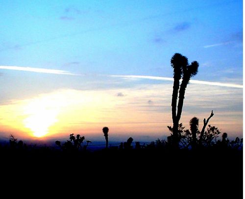 Fotografías menos votadas » Autor: icono - Galería: ATARDECERES - Fotografía: SOLEDAD