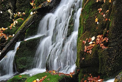 Fotografías menos votadas » Autor: fotoandros - Galería: RIOS Y LAGOS - Fotografía: 